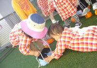 P1070379