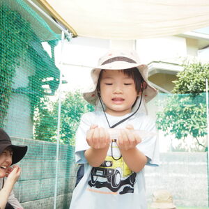 P8180742