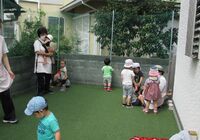 IMG_2912 (2)