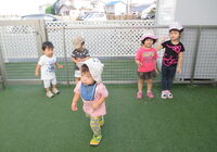 IMG_3174