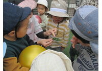 IMG_9057