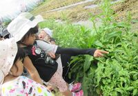 IMG_1419.jpg2